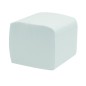 PAPIER TOILETTE ENCHEVETRE (250 FMTS x 36)  11 x 19 cm