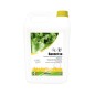 BACNET VO - Bidon 5 L - Détergent désinfectant parfumé