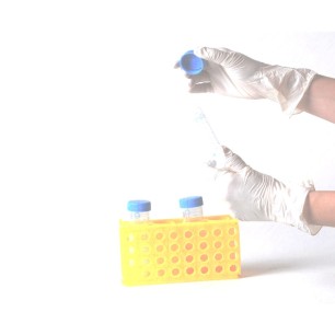 GANT LATEX NON POUDRE T.S - Boite de 100