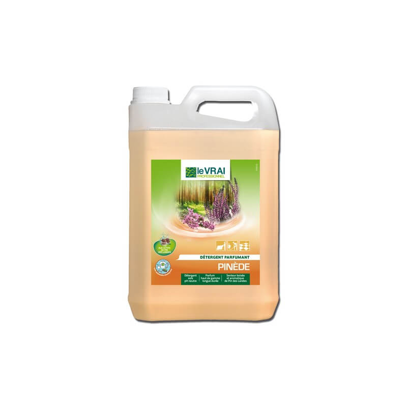 Detergent Parfumant PINEDE - Bidon 5 L - Neutre. Pin-bois. Tous types sols