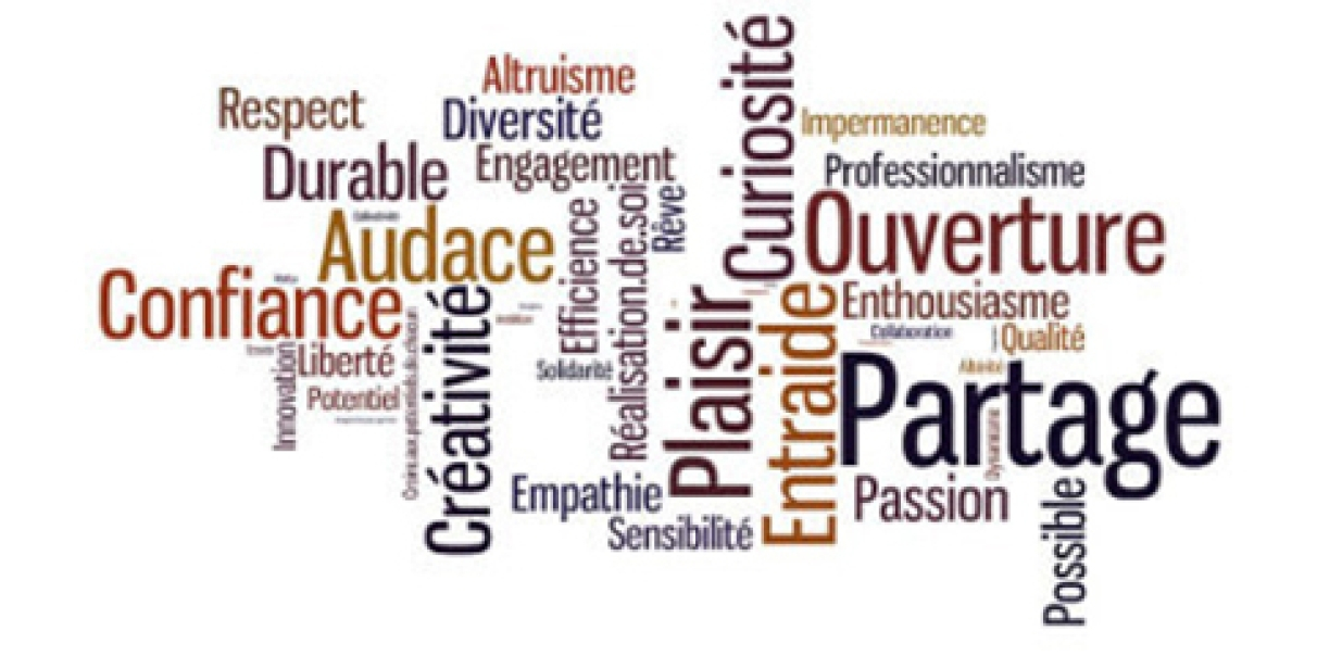 Les valeurs de la CAPEM